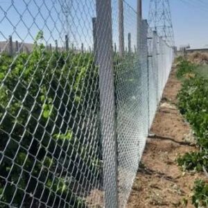 رواد الصرح الحديدي للمقاولات العامة - images 35